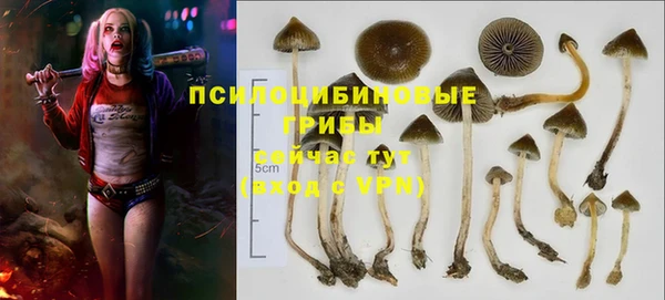 mix Алексеевка