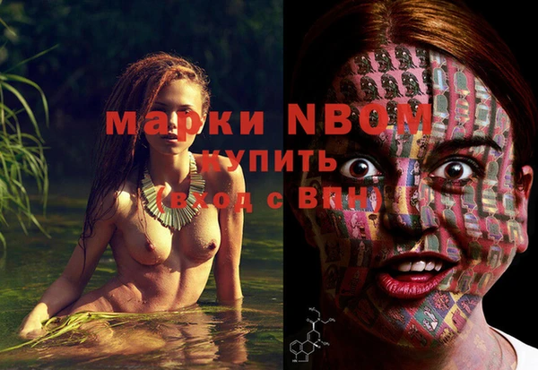 крисы Алексин